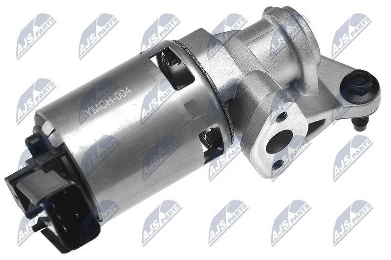 EGR Valve NTY EGR-CH-004