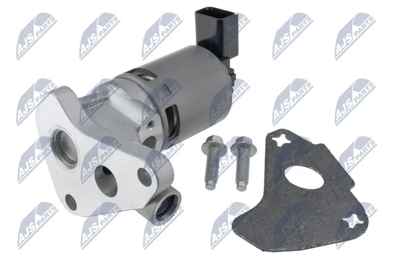 EGR Valve NTY EGR-CH-006