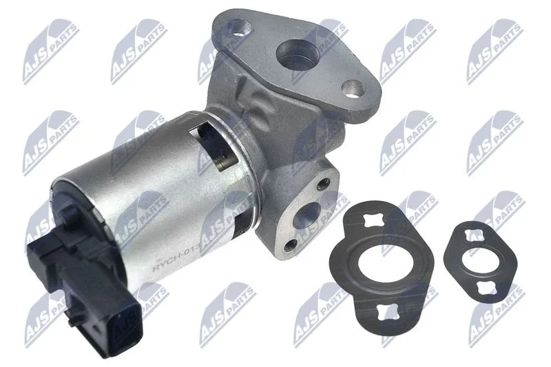 EGR Valve NTY EGR-CH-013
