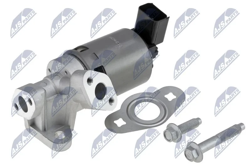 EGR Valve NTY EGR-CH-016