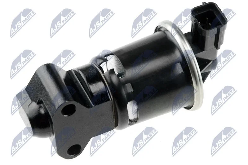 EGR Valve NTY EGR-DW-003