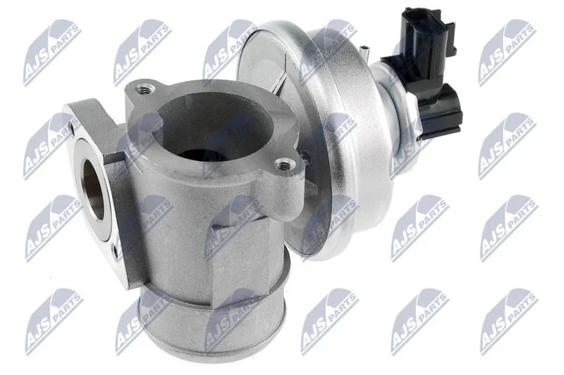 EGR Valve NTY EGR-FR-000