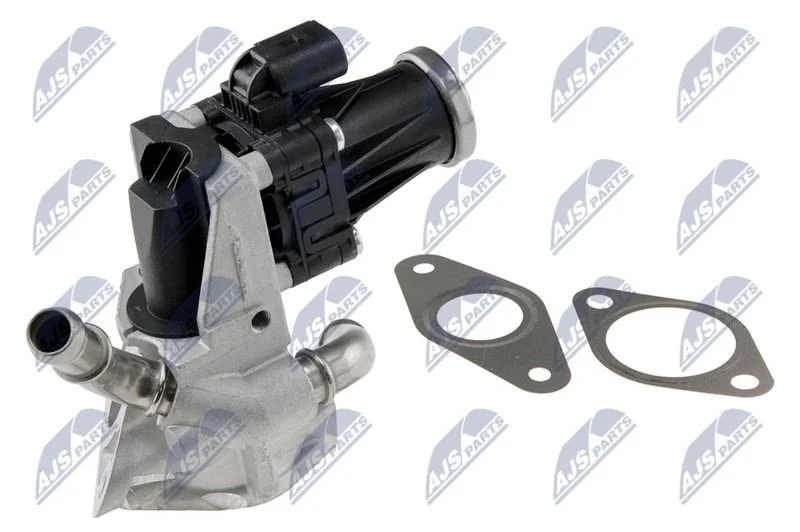 EGR Valve NTY EGR-FR-029