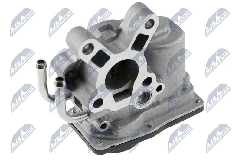 EGR Valve NTY EGR-NS-003