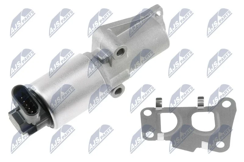 EGR Valve NTY EGR-PL-008