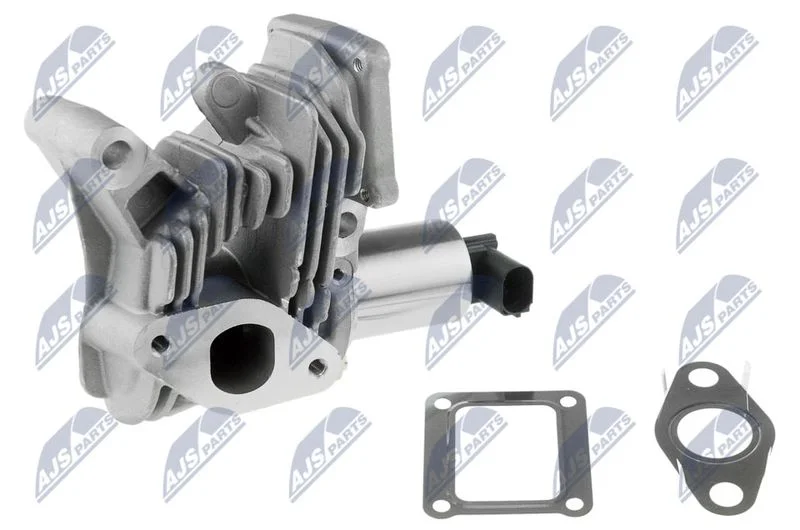 EGR Valve NTY EGR-RE-006