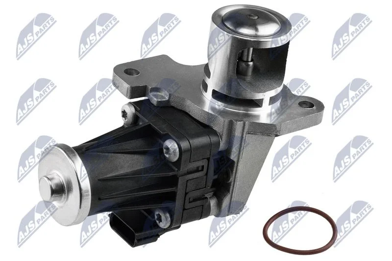 EGR Valve NTY EGR-RE-007