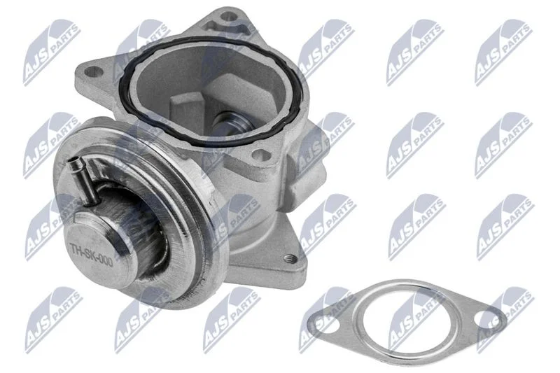 EGR Valve NTY EGR-SK-000