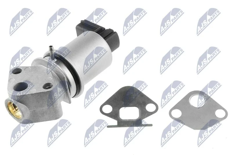 EGR Valve NTY EGR-SK-001
