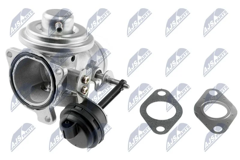 EGR Valve NTY EGR-SK-003