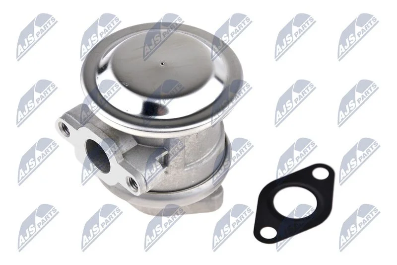 Valve, secondary air pump system NTY EWP-AU-004