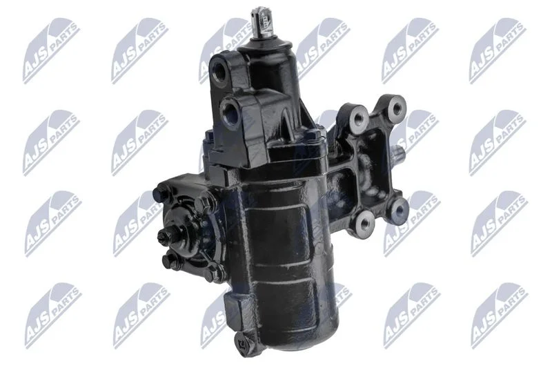 Vairo pavara NTY SPK-CH-014
