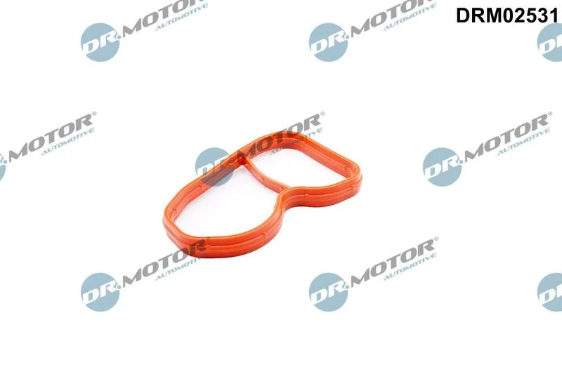 Gasket, intake manifold DR MOTOR DRM02531