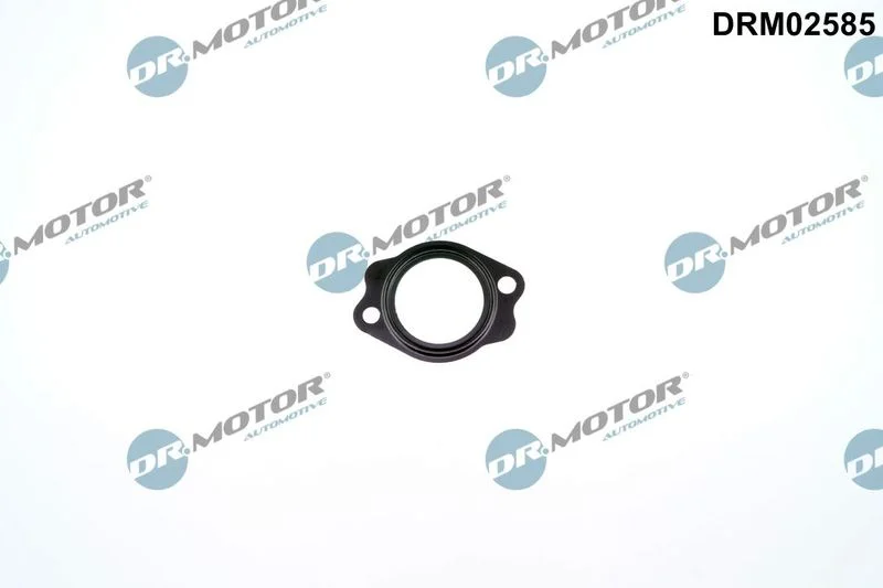 Gasket, coolant pipe DRM DRM02585