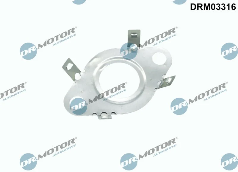 Gasket, EGR valve pipe DR.MOTOR DRM03316