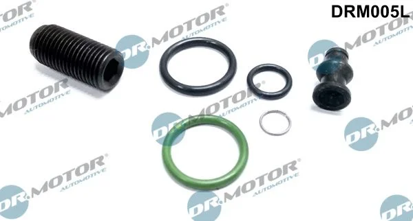 Komplet za popravilo, vbrizgalna enota Dr.Motor Automotive DRM005L