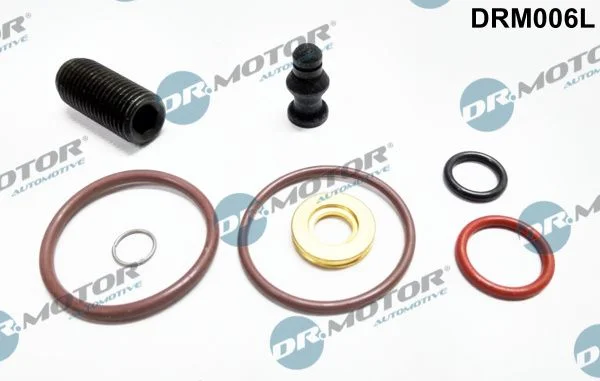 Komplet za popravilo, vbrizgalna enota Dr.Motor Automotive DRM006L