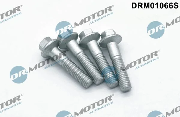 Vijak, držalo injekcijske šobe Dr.Motor Automotive DRM01066S
