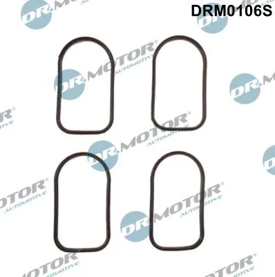 Komplet tesnil, sesalni kolektor Dr.Motor Automotive DRM0106S