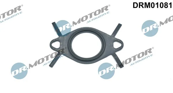 Tesnilo, cev EGR ventila Dr.Motor Automotive DRM01081