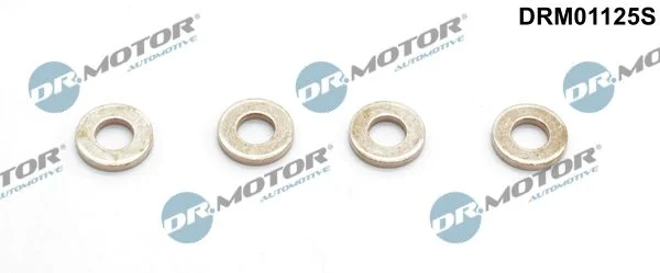 Toplotni ščit, sistem za vbrizgavanje Dr.Motor Automotive DRM01125S