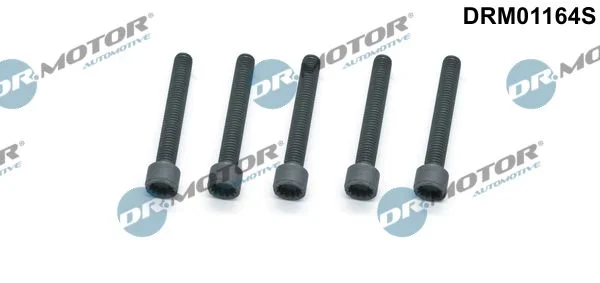Vijak, držalo injekcijske šobe Dr.Motor Automotive DRM01164S