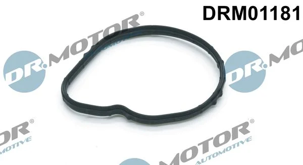 Tesnilo, termostat Dr.Motor Automotive DRM01181