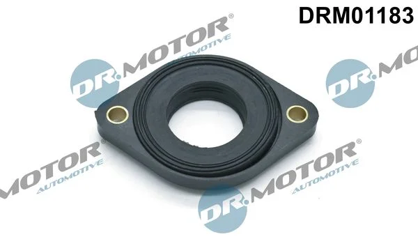 Tesnilo, nastavitev odmične gredi Dr.Motor Automotive DRM01183