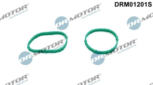 Komplet tesnil, sesalni kolektor Dr.Motor Automotive DRM01201S