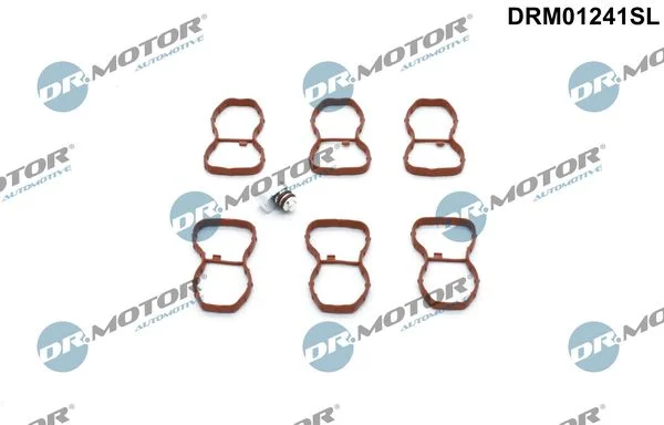 Komplet za popravilo, modul sesalnega kolektorja Dr.Motor Automotive DRM01241SL