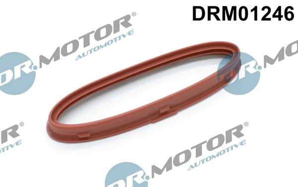 Tesnilni obroč, cev za polnilni zrak Dr.Motor Automotive DRM01246