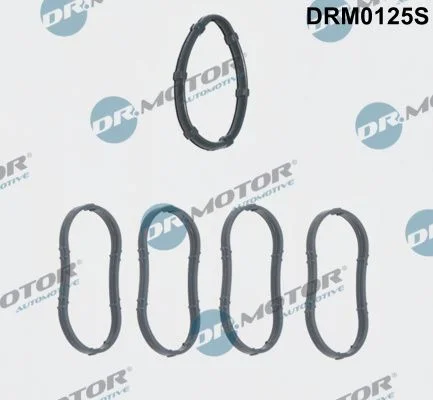Komplet tesnil, sesalni kolektor Dr.Motor Automotive DRM0125S