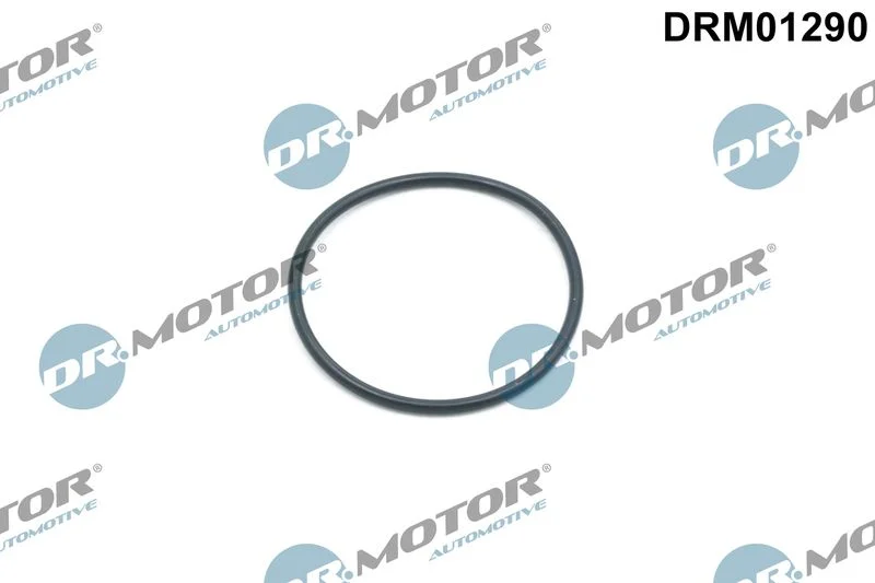 Tesnilni obroč, napenjalec zobate verige Dr.Motor Automotive DRM01290