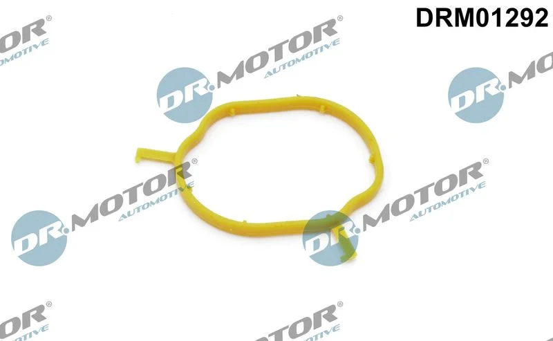 Gasket, coolant pipe Dr.Motor Automotive DRM01292