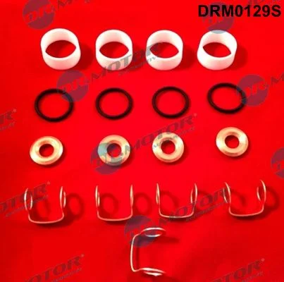 Repair Kit, injection nozzle Dr.Motor Automotive DRM0129S