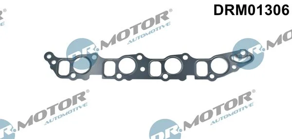 Tesnilo, sesalni kolektor Dr.Motor Automotive DRM01306
