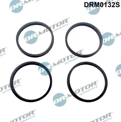 Komplet tesnil, sesalni kolektor Dr.Motor Automotive DRM0132S