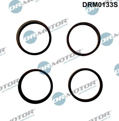 Komplet tesnil, sesalni kolektor Dr.Motor Automotive DRM0133S