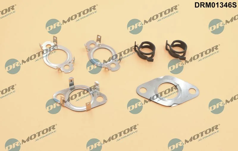 Komplet tesnil, sistem EGR Dr.Motor Automotive DRM01346S