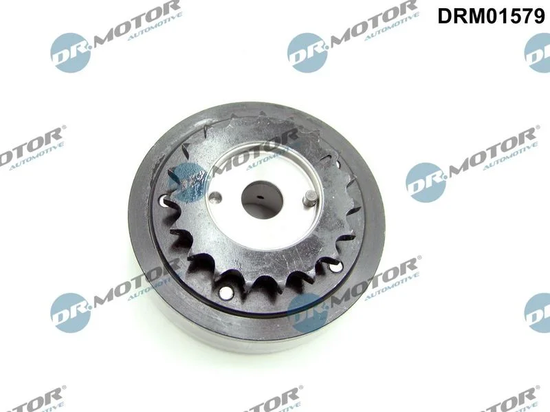Nastavljalnik odmične gredi Dr.Motor Automotive DRM01579