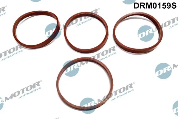Komplet tesnil, sesalni kolektor Dr.Motor Automotive DRM0159S
