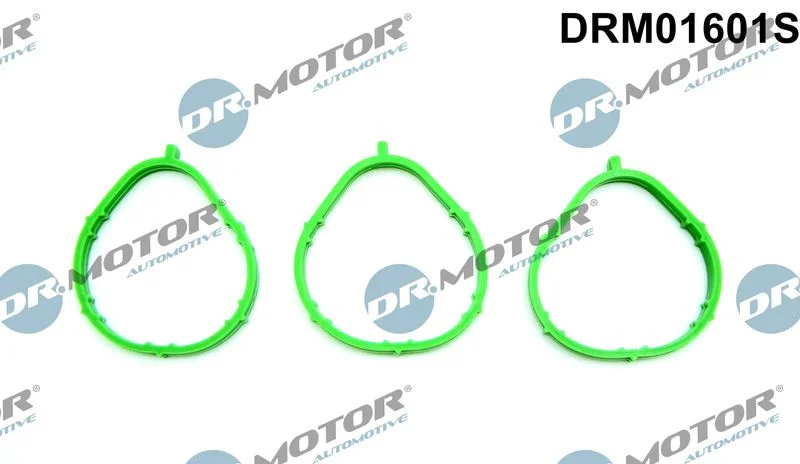 Komplet tesnil, sesalni kolektor Dr.Motor Automotive DRM01601S
