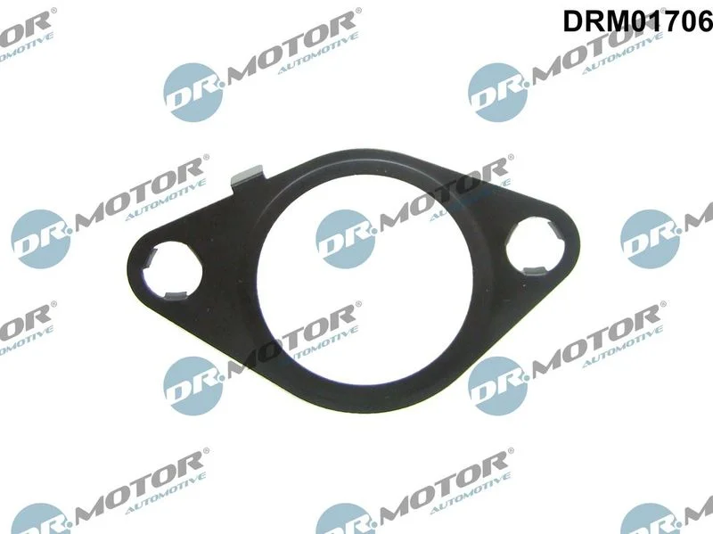 Tesnilo, EGR ventil Dr.Motor Automotive DRM01706