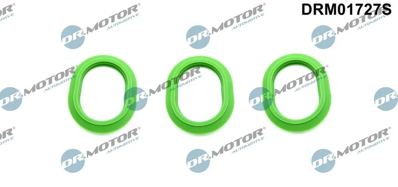Komplet tesnil, sesalni kolektor Dr.Motor Automotive DRM01727S