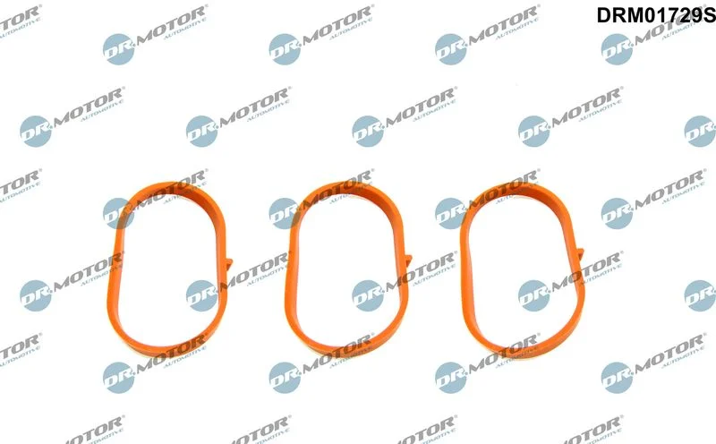 Komplet tesnil, sesalni kolektor Dr.Motor Automotive DRM01729S
