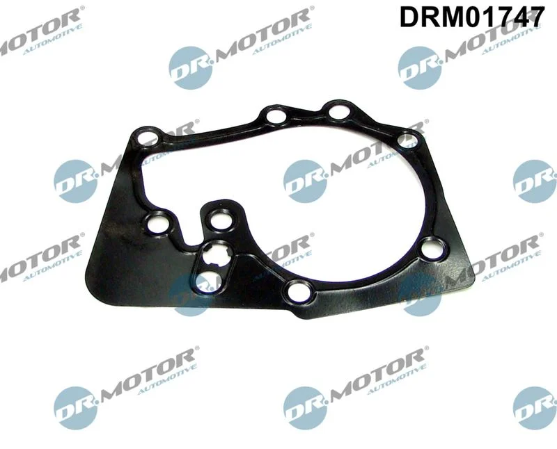 Gasket, water pump Dr.Motor Automotive DRM01747