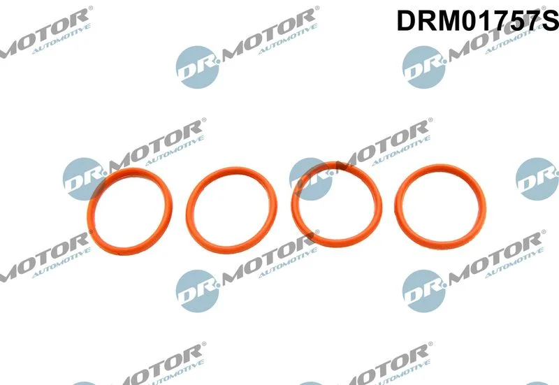 Komplet tesnil, sesalni kolektor Dr.Motor Automotive DRM01757S