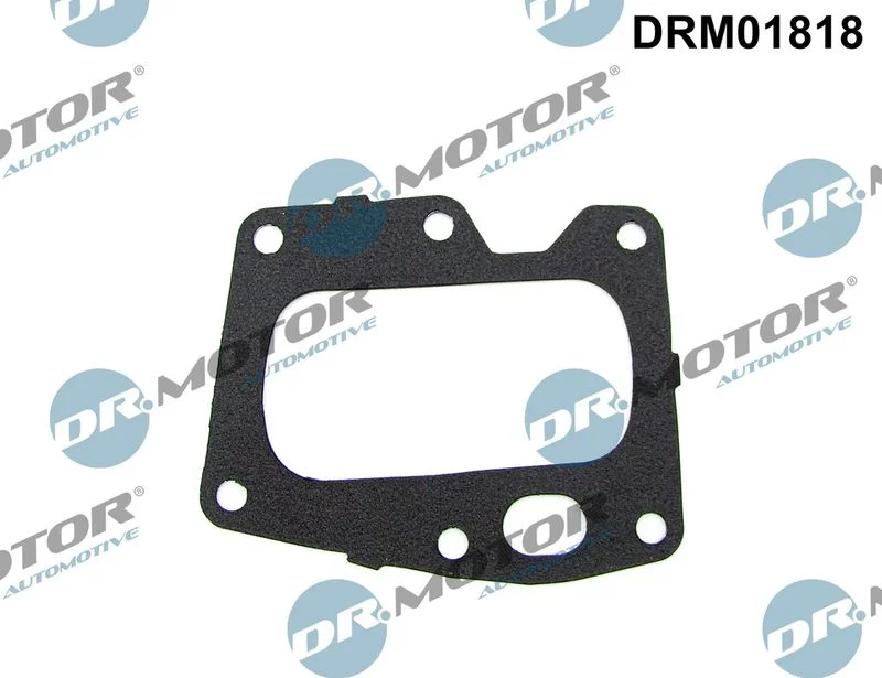 Tesnilo, EGR ventil Dr.Motor Automotive DRM01818