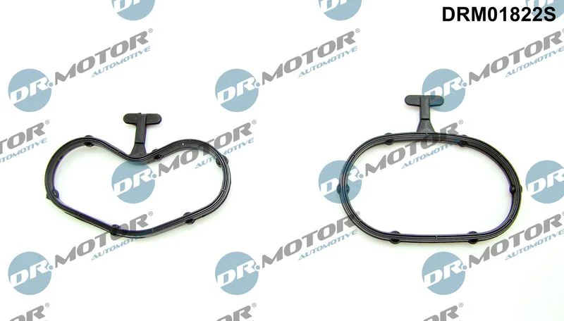 Komplet tesnil, hladilnik olja Dr.Motor Automotive DRM01822S