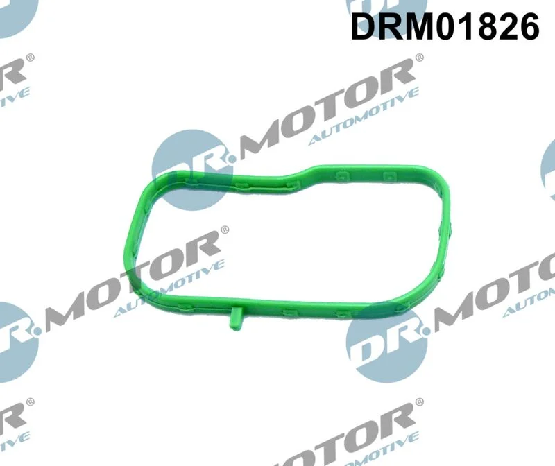 Tesnilo, sesalni kolektor Dr.Motor Automotive DRM01826